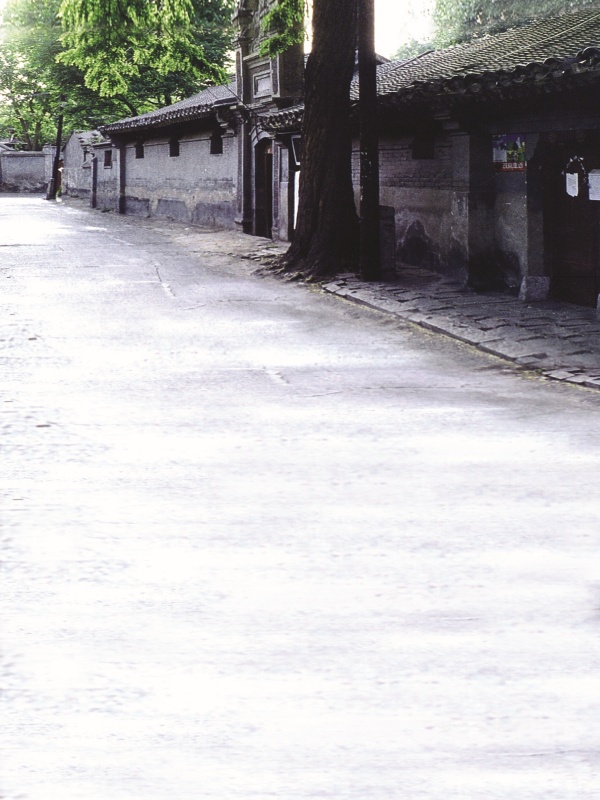 東京免疫療法是否會降低血壓與心率指標，背后隱藏著什么樣的秘密？