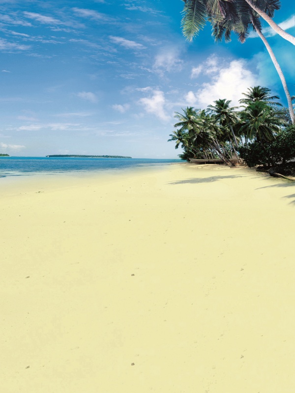 東京干細胞治療耳鳴是否有試驗數(shù)據(jù)？患者的真實體驗揭示了什么