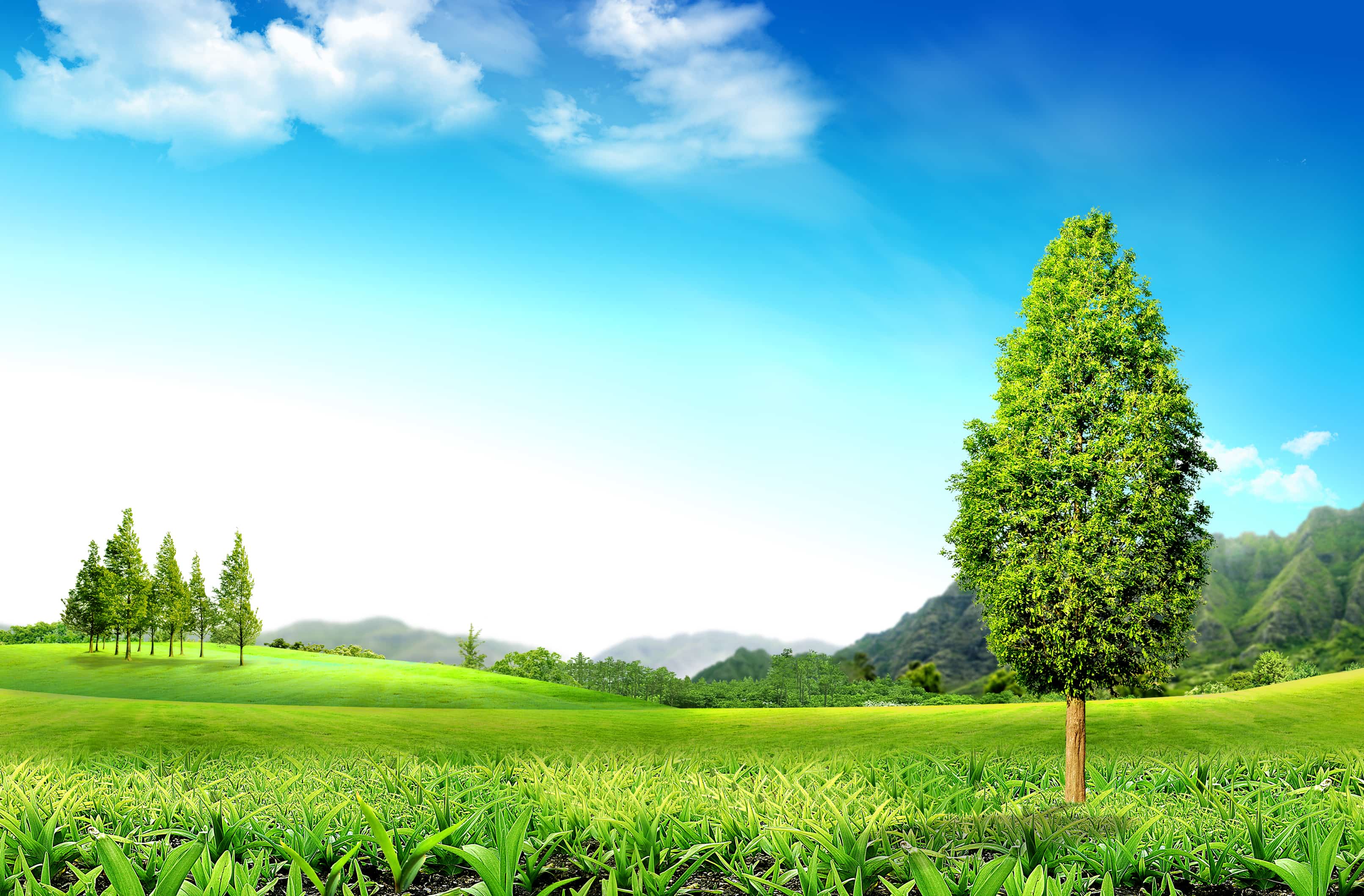 越來越多人選擇歐洲干細(xì)胞什么用途比較好用，真的值得嘗試嗎？